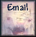 email me