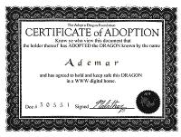 adopt a dragon